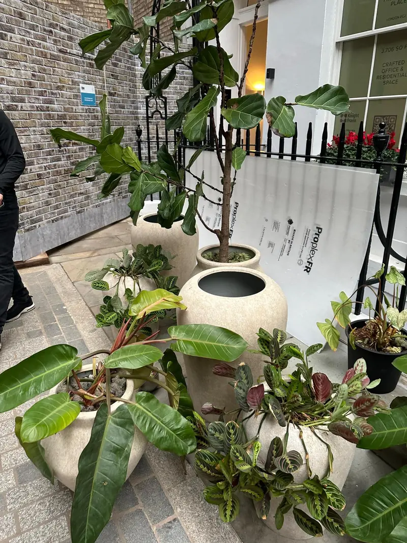 Office move by London Moverz including plants and specialist items